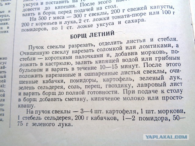 Борщ сиреневый игристый