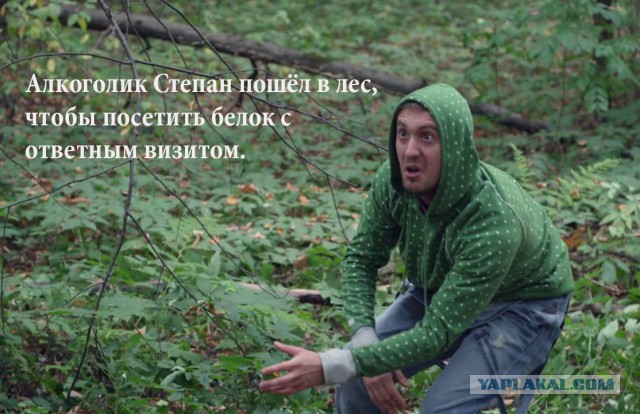 Традиционный алкопост в эту пятницу