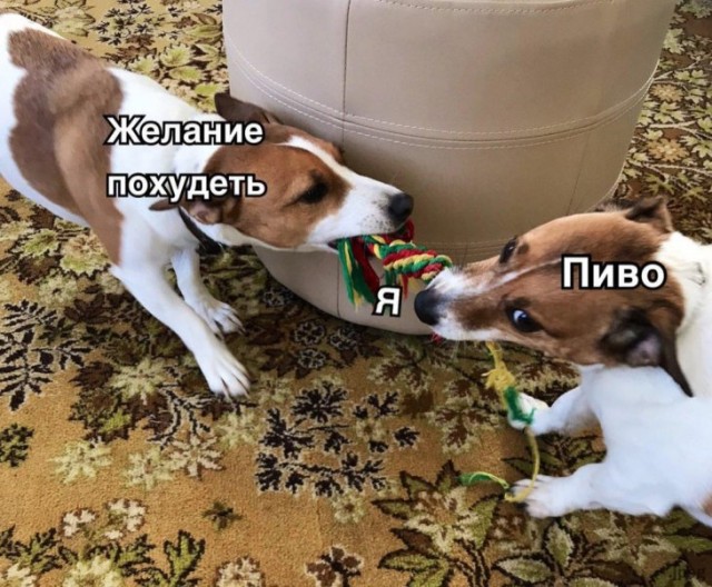 Немного картинок для настроения