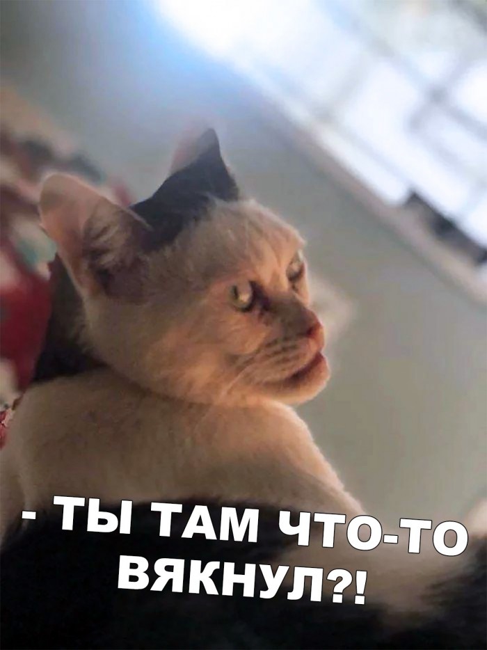 Жена не хочет рожать