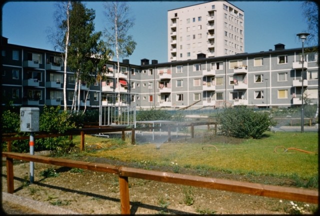 20 век в цвете. 1959 г. Каким был мир 60 лет назад