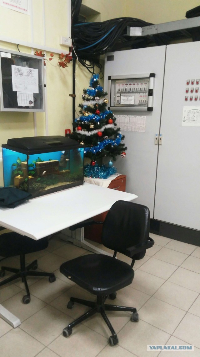 Новый год на работе