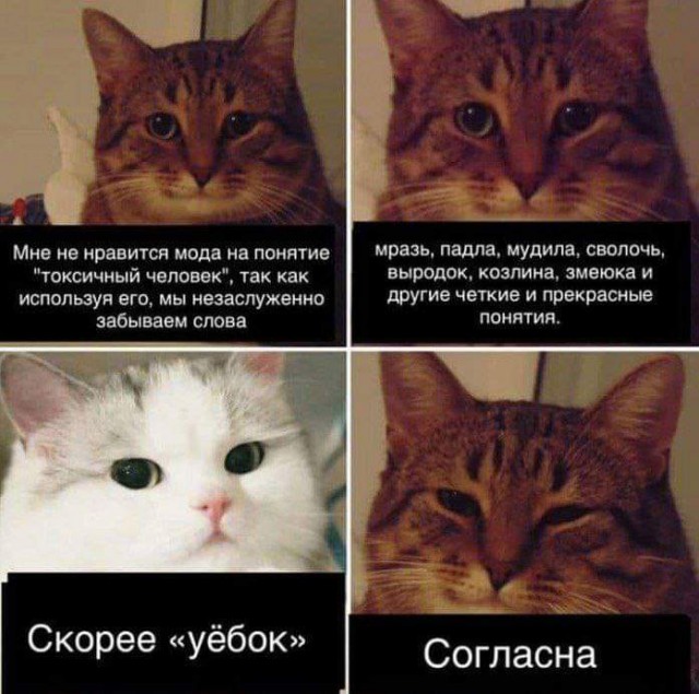 Немного картинок с надписями и без - 42