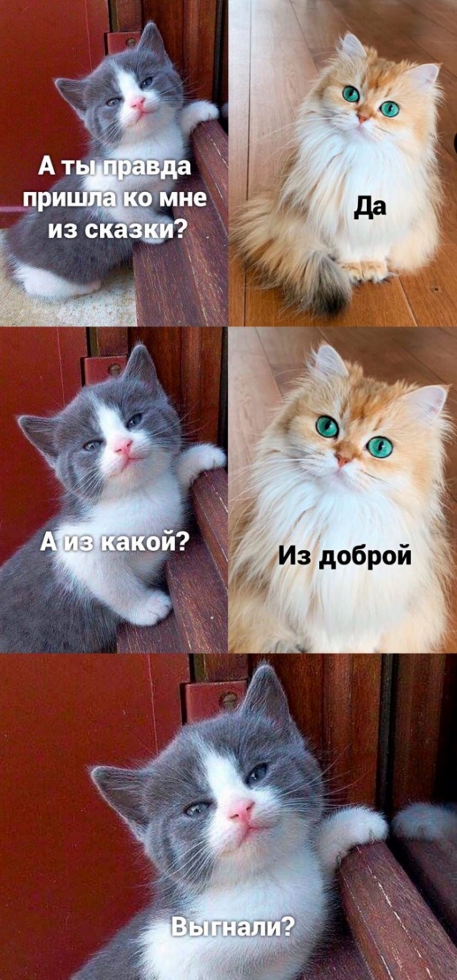 Немного картинок для настроения 01.06.20