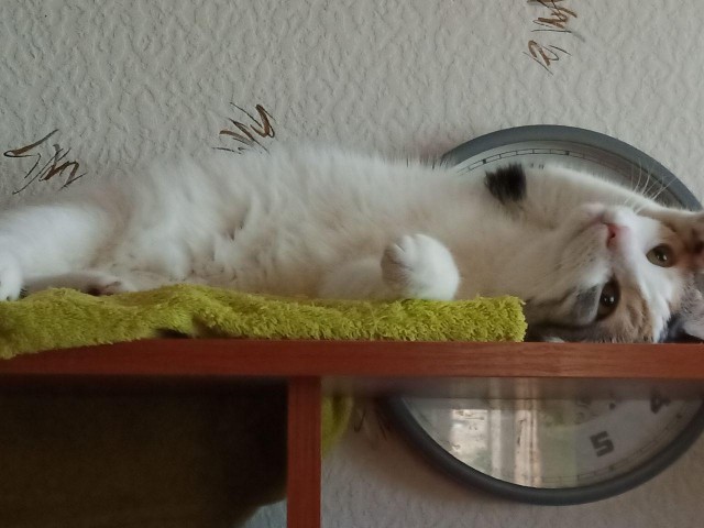 Просто делай что должен и будь что будет