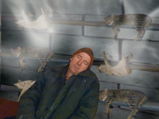 Тихий час сантехника