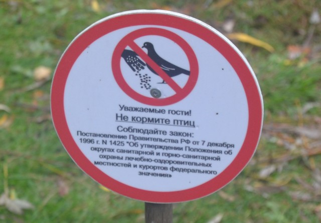 Старая Русса. Путешествие по провинции