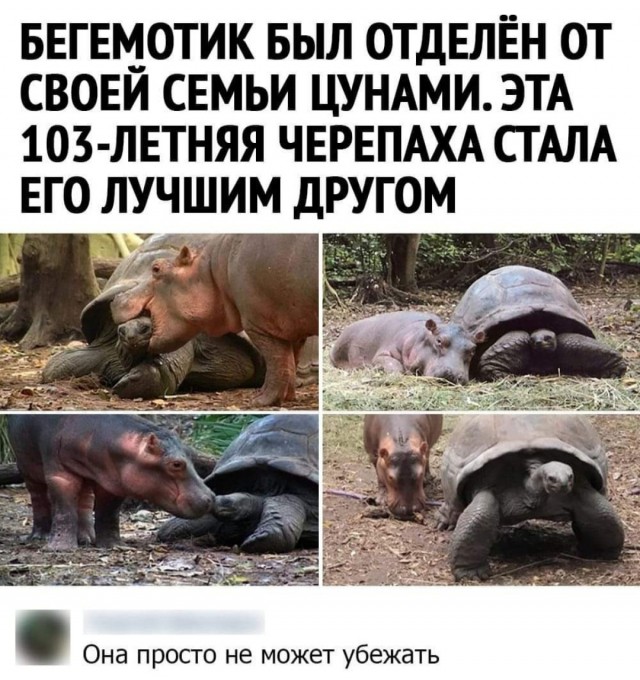 Бредзона 05.01.2021