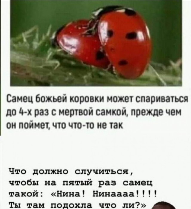 Отовсюду обо всем