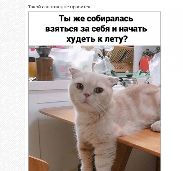 Картинки и мемы для настроения 019