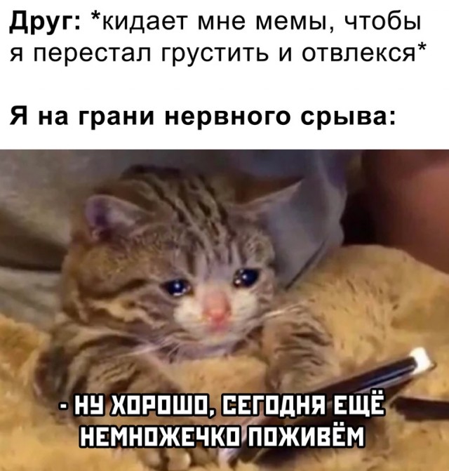 Весёлый полтишок 24.02