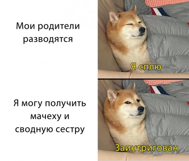 Весёлый полтишок 26.03