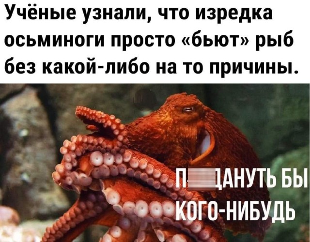 Юмор и прикольные картинки