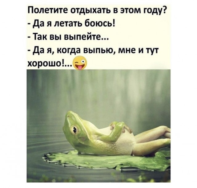 Весёлый полтишок 12.06