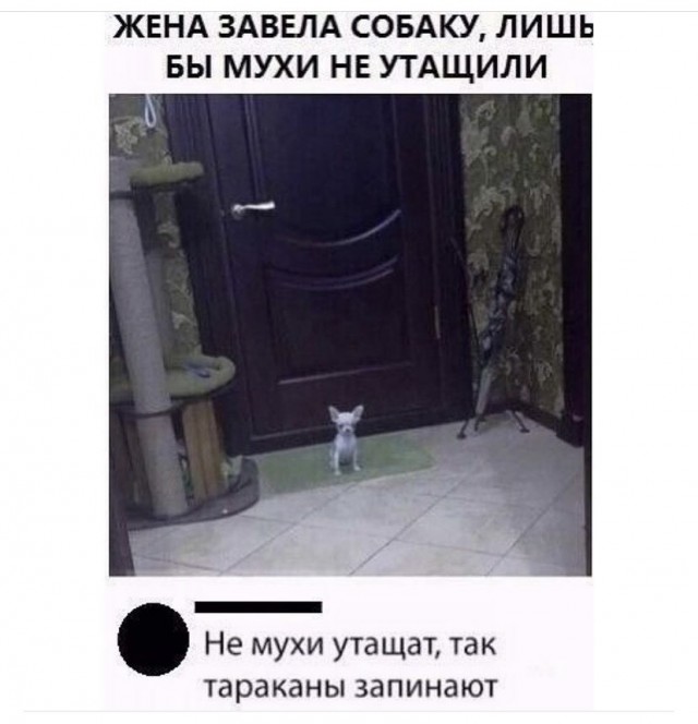 Картинки с надписями и всякие жизненные фразы 29.06.21