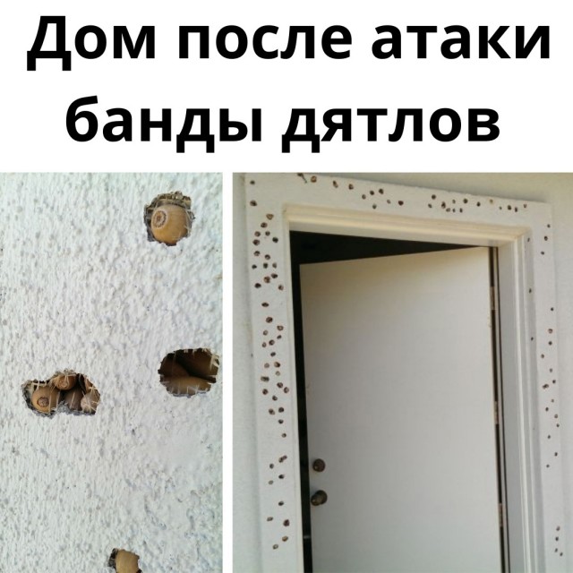 Так себе картинки 16.08.21