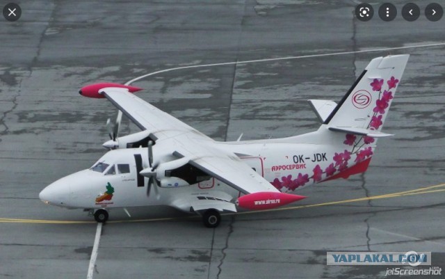 Под Иркутском разбился пассажирский самолёт L-410