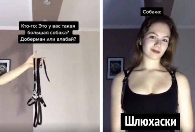 Баянисто-небаянистый юмор 9.11.21