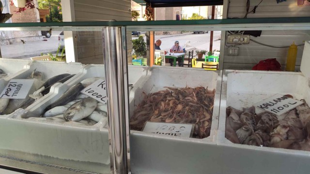 Aлбания в эпоху ХВОРИ всеобщей (2021)