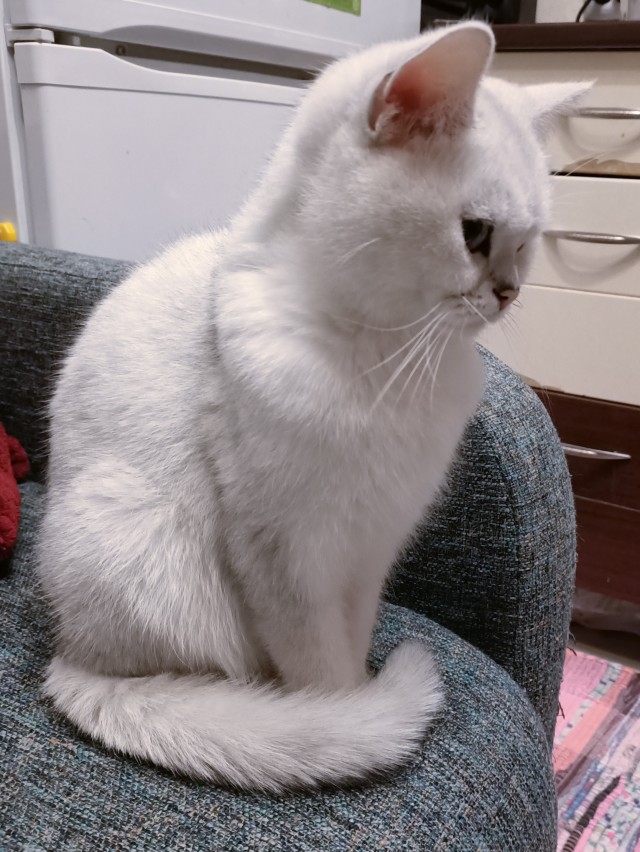 Котовторниковское
