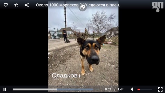 Около 1000 морпехов ВСУ сдаются в плен
