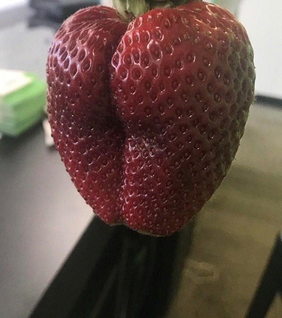 40 пятничных картинок разных 15.04.2022