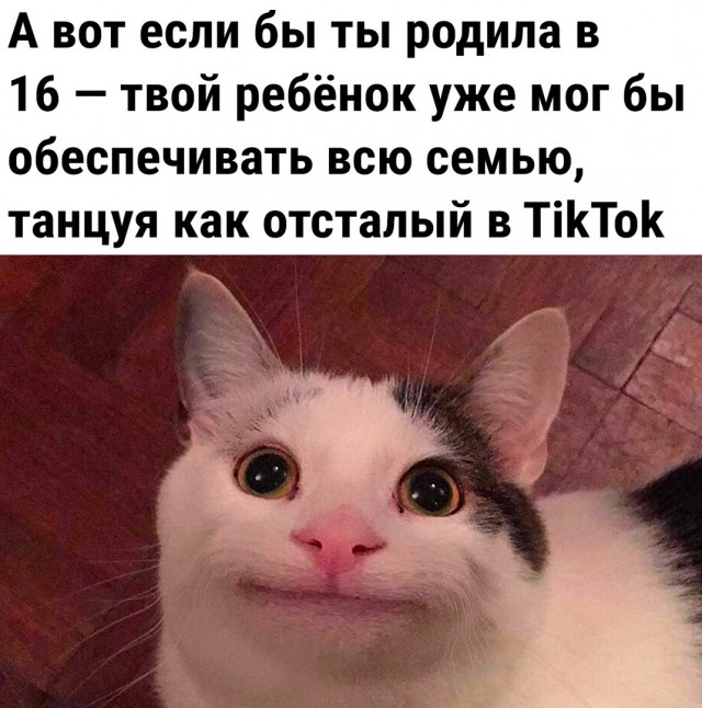 Так себе картинки 05.05.22