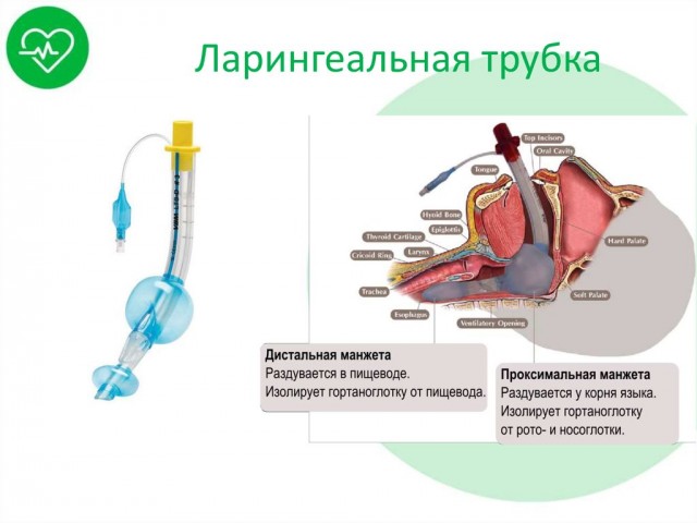 Пандемия. Коронавирус и съехавшие крыши. Россия и мир. Часть 34.