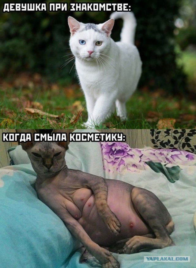Картинки 20.05.22.