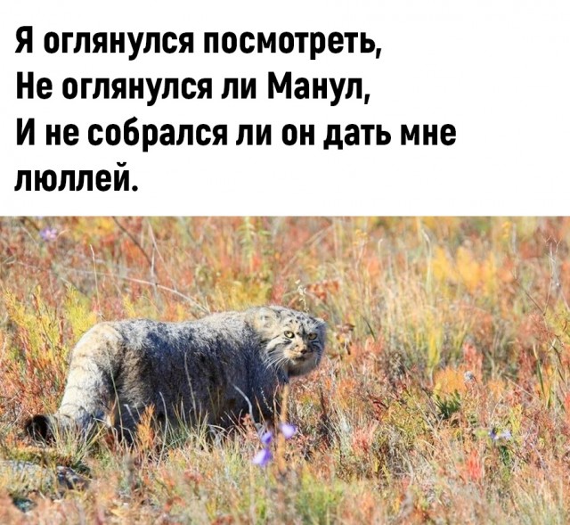 Так себе картинки 17.06.22