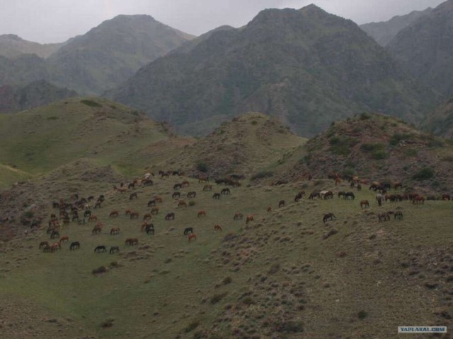 Рыбалка в горах. Плато Ассы.