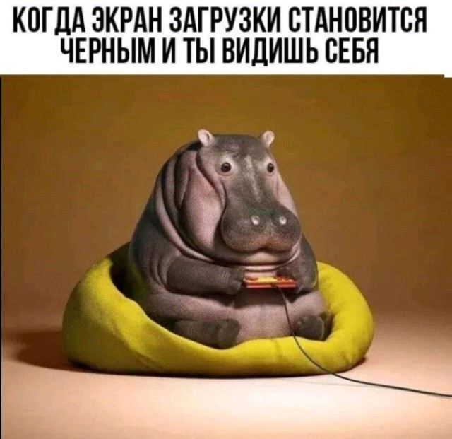 Юмор в картинках и без