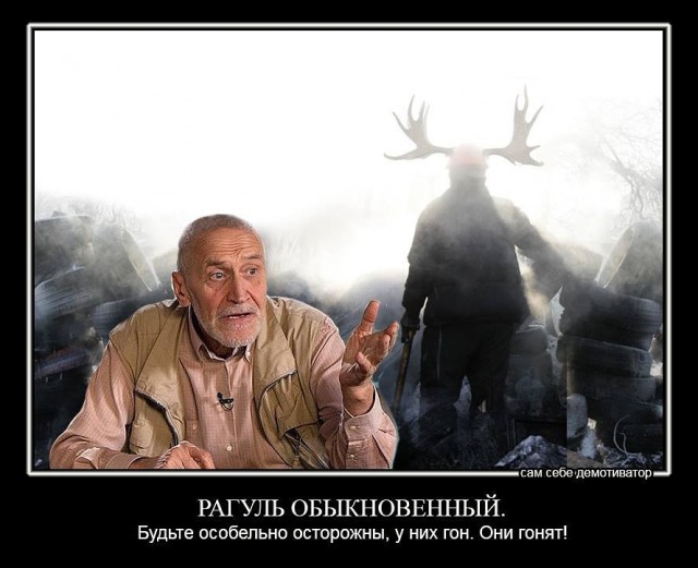 Отступили