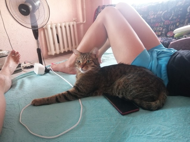 На котовторник