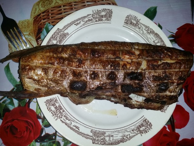 Закрыл сезон (про рыбов)