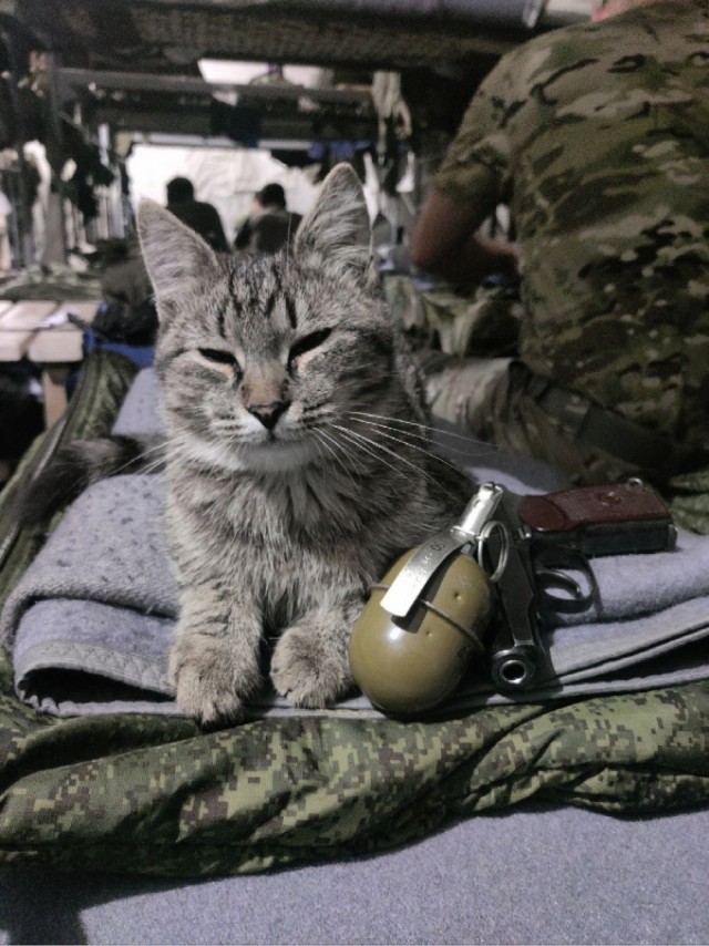 Здравствуйте!