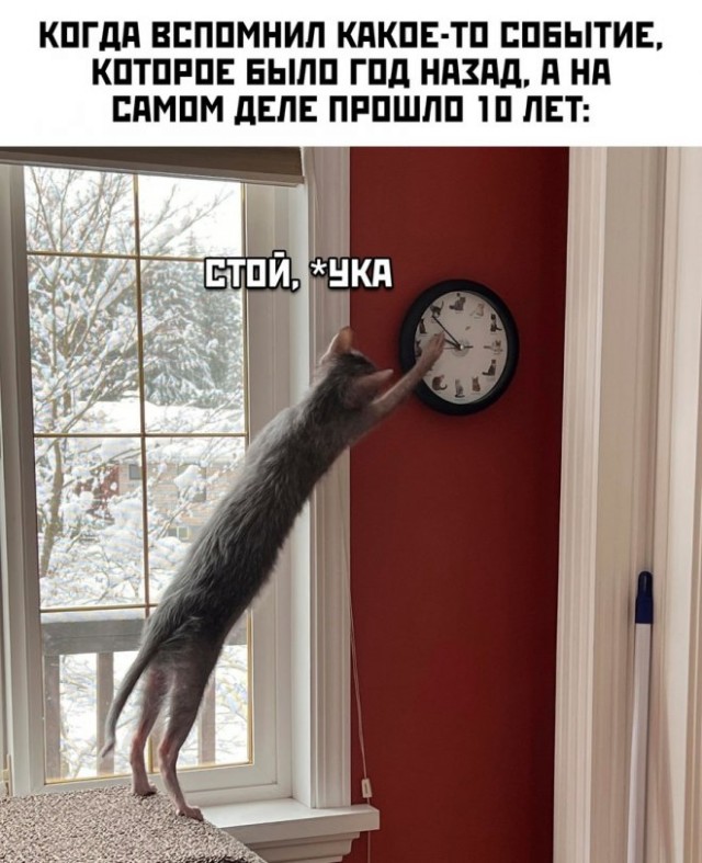 Немного картинок для настроения - 137