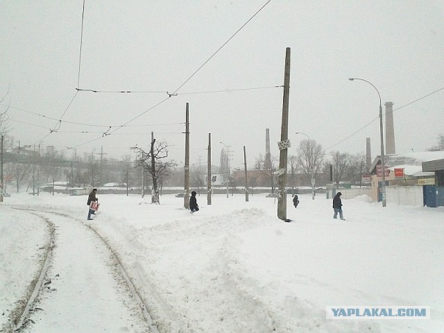 23 марта. Киев. Весна.