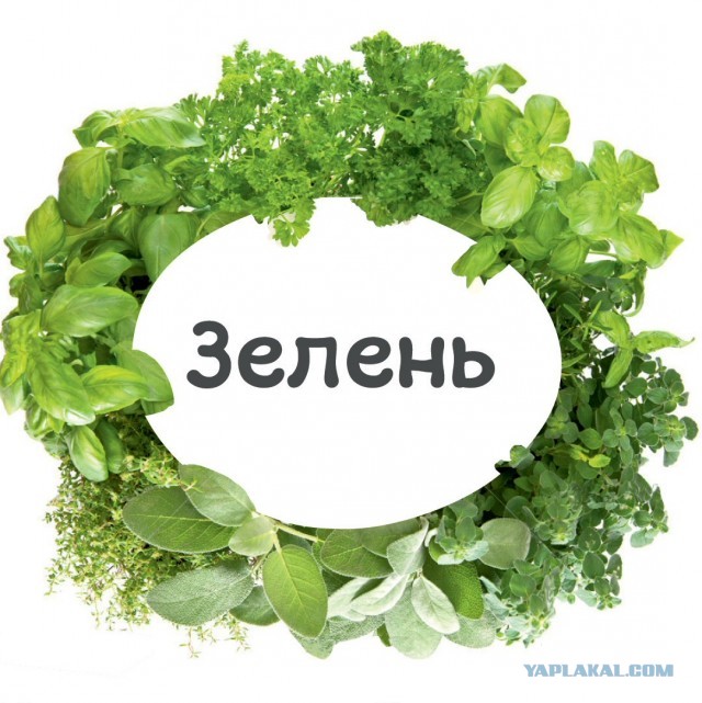 Веселые буквы
