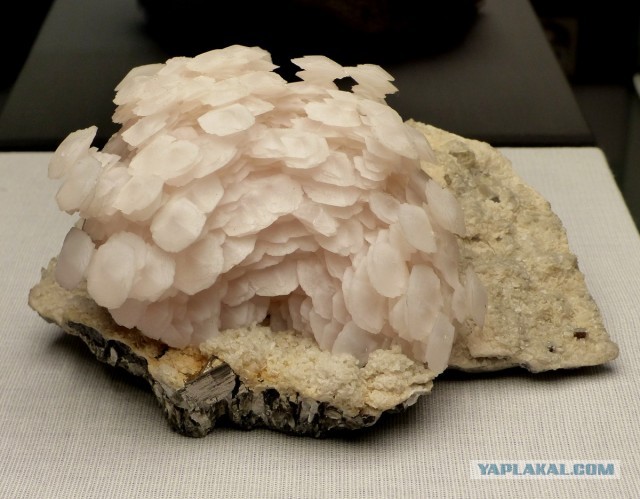 Mineralientage München 2018
