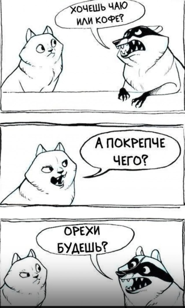 Правильное мнение: Отличие баб от женщин
