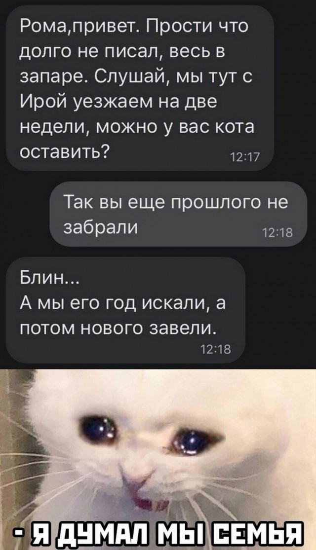 Скупка краденого из сети 08-08-2023