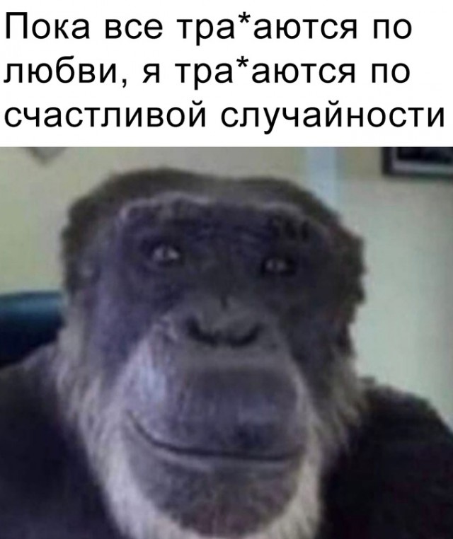 Весёлый полтишок 29.08.23