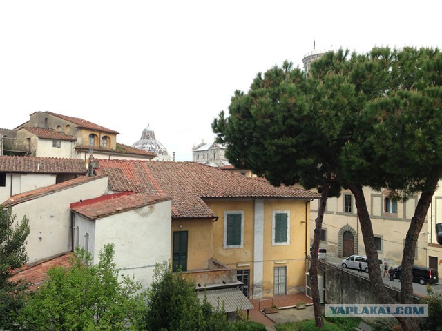 Я гонец из Пизы!