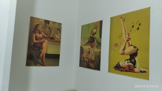 Pin Up и модели