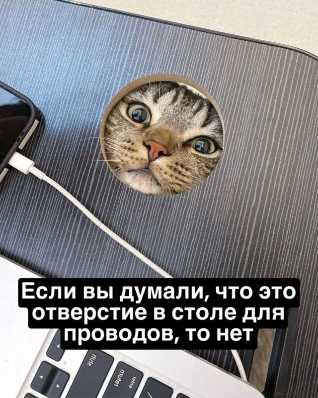 ТРРРидцать тРРРи от 21 мая