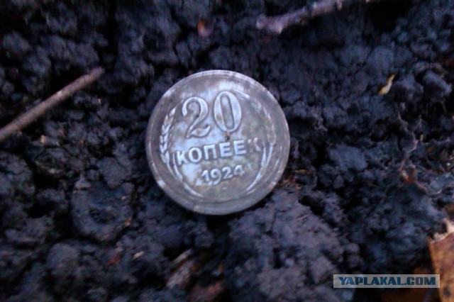 Находки в обычном парке