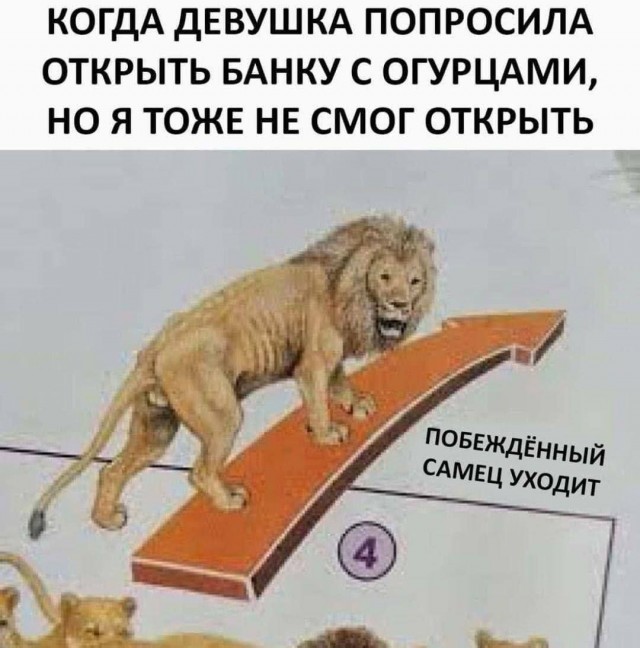 Никакие картинки