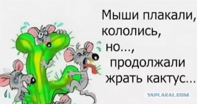 Современные мужчины делят пополам???