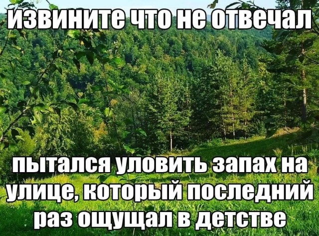Не плачь. Это ностальгия в глаз попала